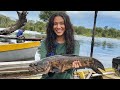 Pescaria de malhadeira no igap muitos peixesamazonas