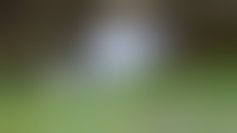 How to make Reactive exploding targets -  shooting