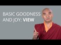 Basic Goodness and Joy with Yongey Mingyur Rinpoche