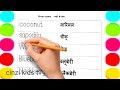 Fruits Name || फलों के नाम || Fruits Name in English and Hindi || cinzi kids tv 