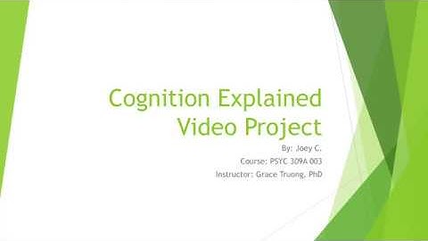 Cognition Explained Video Project (PSYC 309A)