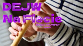 DEJW - Na Flecie (WORLD TRUMPET effect)