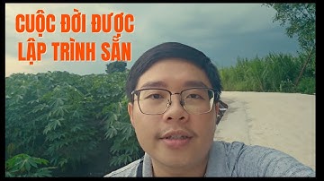 Những lối mòn cuộc sống - Nhật Hoài Trader