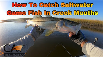 How To Catch Saltwater Game Fish In Creek Mouths -  Flats Class