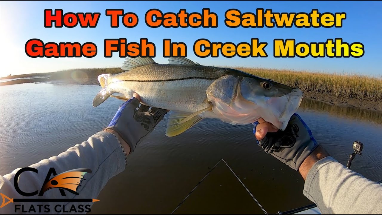 How To Catch Saltwater Game Fish In Creek Mouths Flats Class YouTube