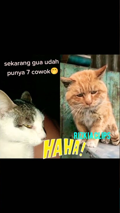 balikan sama mantan...#shorts