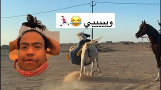 يوميات الاسطبل هادي طاح 😂😭🐎🏆