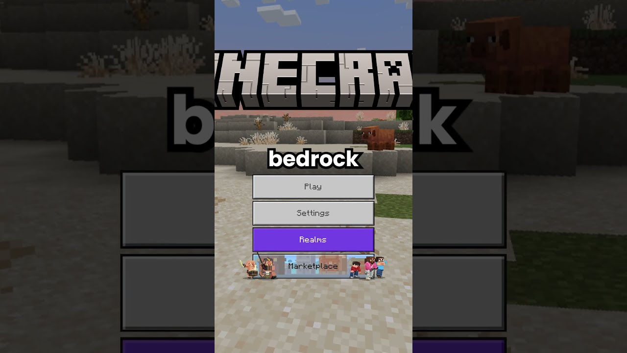 Everyone Is Asking Me How To Join The Public Minecraft Earth SMP Minecraftserver