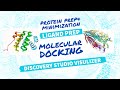 How completely prepare protein for docking/ protein minimization/discovery studio