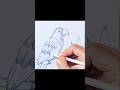 Pencil Drawing #art #drawing #short #shorts #youtubeshorts #shortvideo