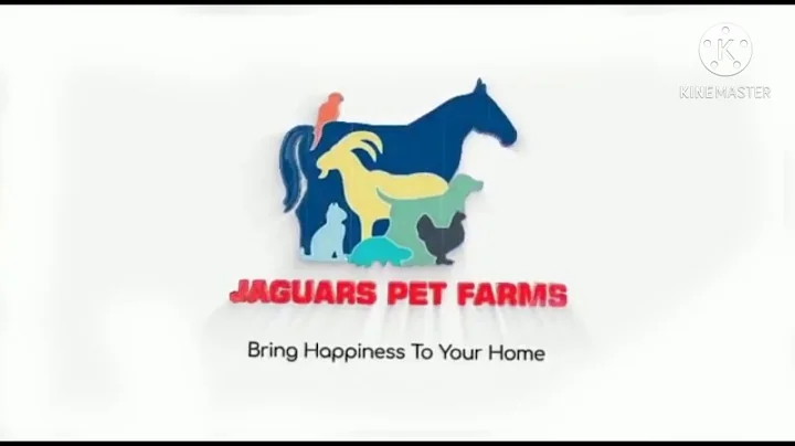 Watch the video about PURE PERSIAN KITTENS AVAILABLE FOR SALE IN MUMBAI