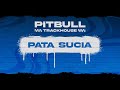 Pitbull - Pata Sucia (Visualizer)