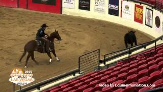 CD Dee Vee Dee ridden by Jay McLaughlin - 2015 NRCHA Stallion Stakes