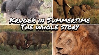 Kruger National Park in Summertime: The whole Story  Skukuza, Satara, Lower Sabie and Marloth Park