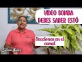 DEBES SABER ESTO SECCIONES EN EL CANAL/Liliana Muñoz