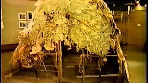 From a Field of Flax  VTS 01 part 2 of 2