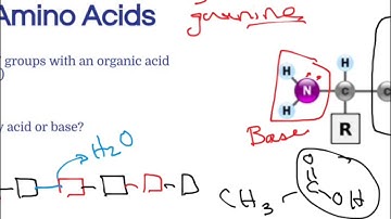 ch112 chapter 19 video 2