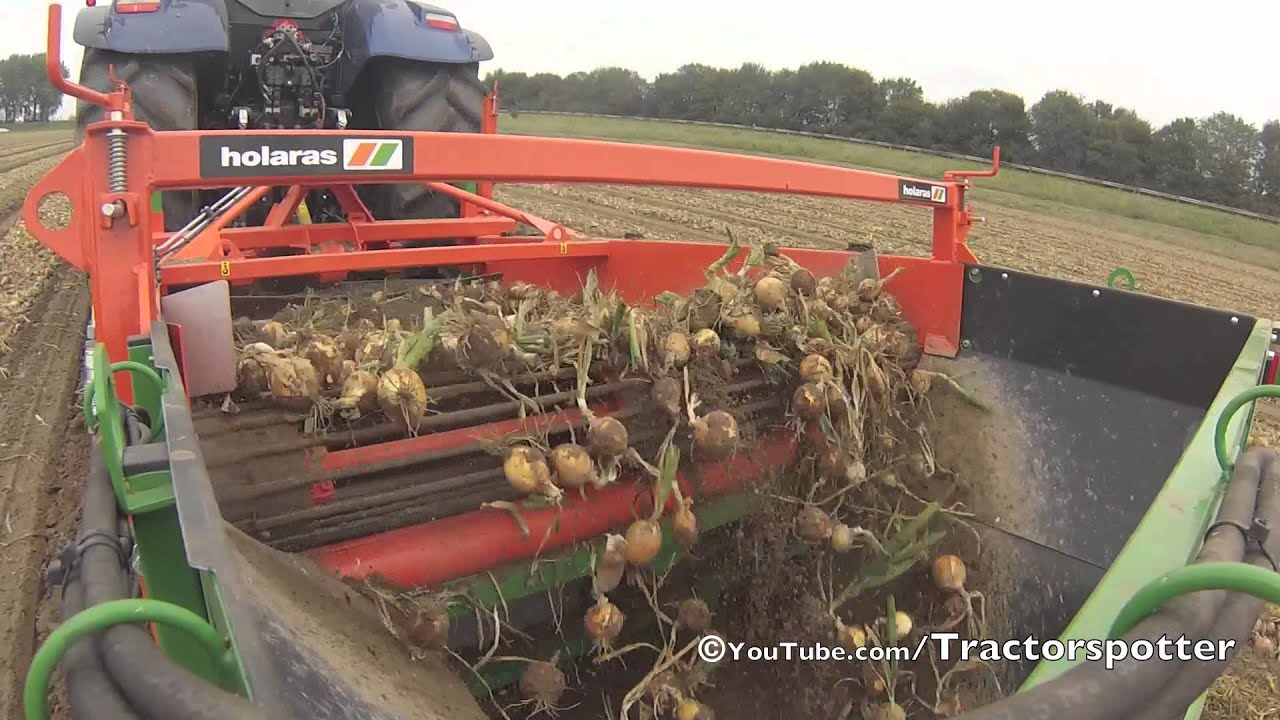 New Holland T7070 Blue Power + Holaras UM/UR Frontrooier - Uien rooien / Windrowing onions