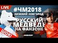 Нижний Новгород. Живой медведь на фан-зоне ЧМ-2018.