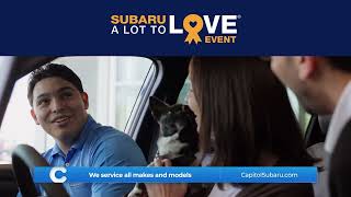 Capitol Subaru A Lot to Love Event Salem Oregon