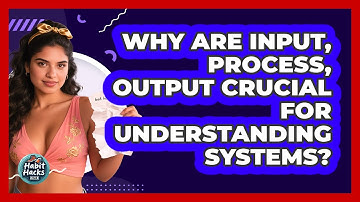 Why Are Input, Process, Output Crucial For Understanding Systems? - Habit Hacks Hub