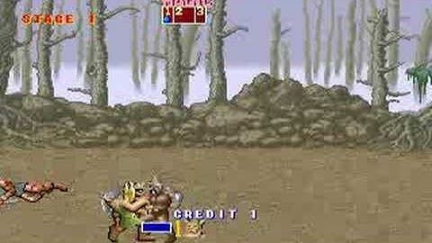 Golden Axe - Arcade Cheat