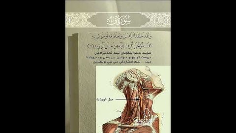 استمع قليلاً القرآن الكريم #القران_الكريم #راحة_نفسية #دعمكم