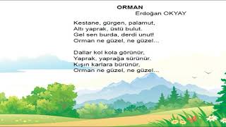 Orman Şarkısı, 3 Sınıf Müzik Dersi (Meb)