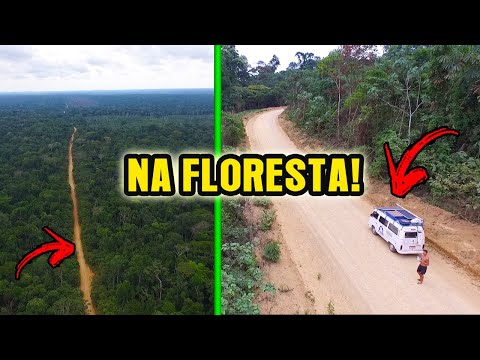 ATRAVESSAMOS A FLORESTA - de Buritis a Nova Mamoré, Rondônia