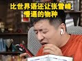 比世界语还让张学峰懵的语种？