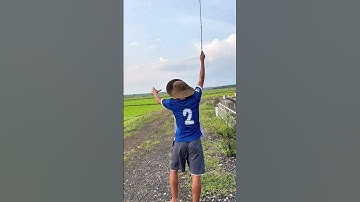 Đi câu Cá Rô Phi không có Cá mà có Toàn Là Cua #trainghiem