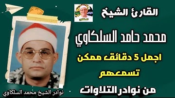 اجمل واروع 5 دقائق من تسمعهم من نوادر تلاوات الشيخ محمد حامد السلكاوي
