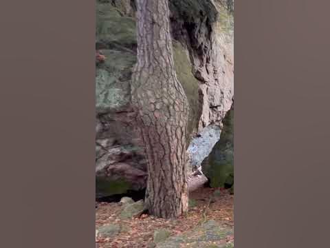 Сейд ️ - YouTube