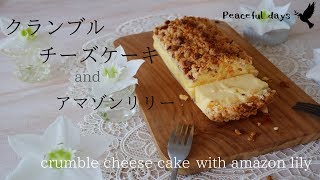 【#30】暮らしのvlog/クランブルチーズケーキ/すみれの花の刺繍