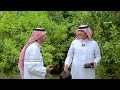 الزراعة في الحضن نجران السعودية كنوز أمة برنامج وثائقي 