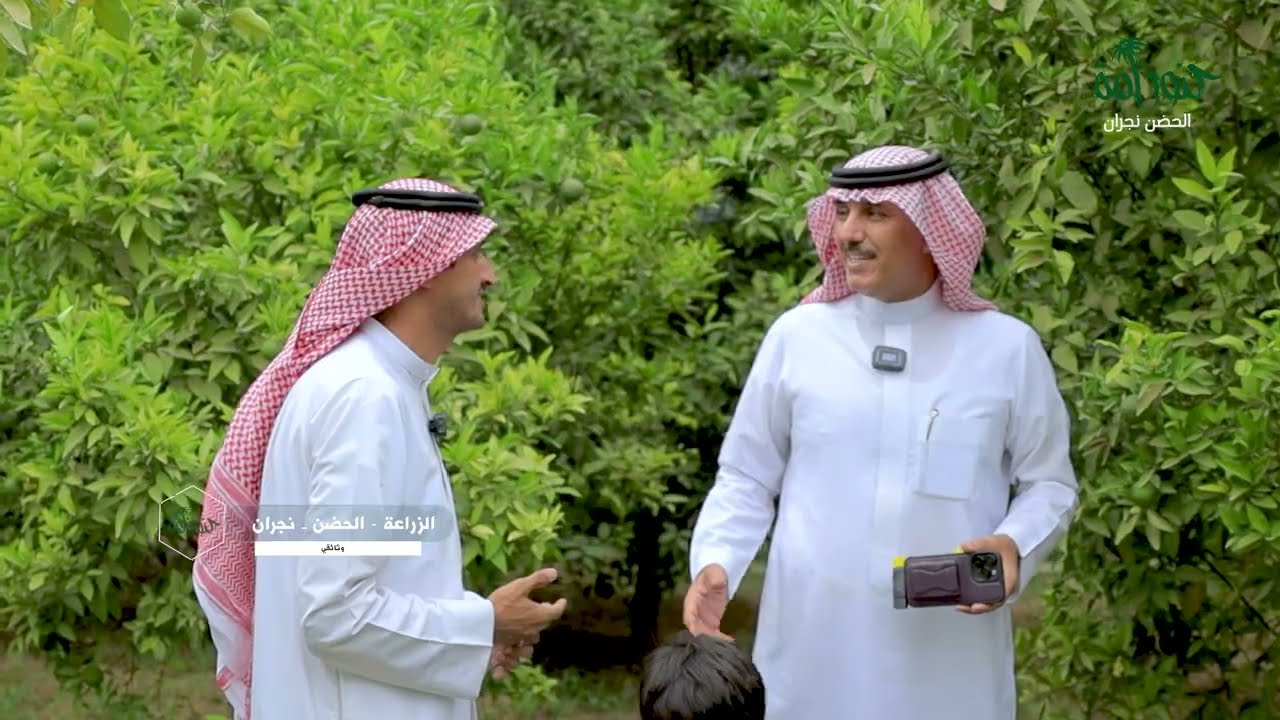 الزراعة في الحضن #نجران #السعودية (كنوز أمة ) برنامج وثائقي