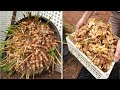 The secret to growing ginger at home with many roots  large roots