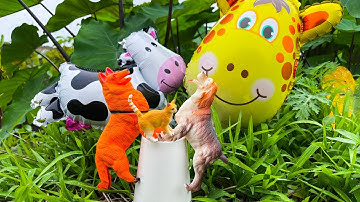 Tìm được sâu, ốc bươu vàng ngoài đồng, đồ chơi và bóng bay hình các con vật - Part 137