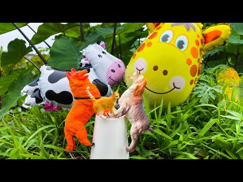 Video Tìm được sâu, ốc bươu vàng ngoài đồng, đồ chơi và bóng... - youtube
