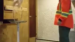 kemarahan Burung Kakak Tua kepada pemiliknya