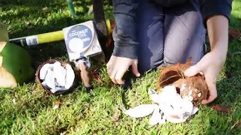 Coconut Tool Instructional Video