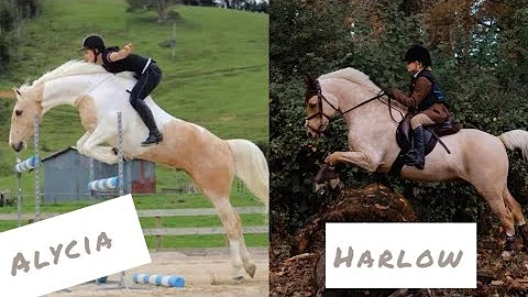 Harlow Luna White VS. Alycia Burton Horse Edit