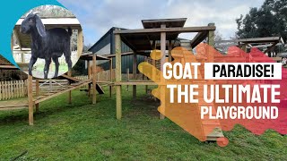 Goat paradise!  Catching up on our exceptional goat playground.