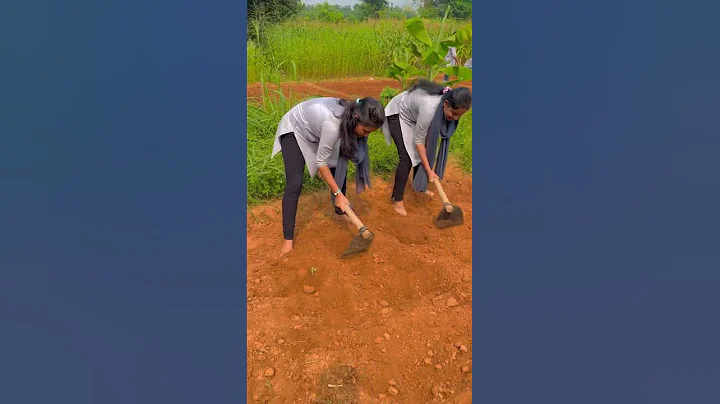 BSc Agriculture Students | BSc Agriculture Course and Scope | SoA University - DayDayNews
