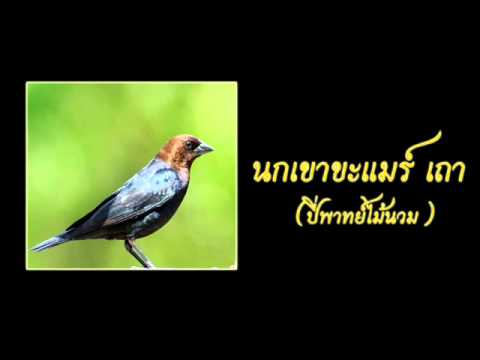	เรื่อง: ส่งงาน เรื่อง เพลงไทยเดิม โดย เด็กชายเมธีกร บุญไพโรจน์ เลขที่ 8 Hqdefault