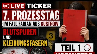 LIVE: Neue Spuren im Fall Fabian? Blut & Fasern vor Gericht | Prozesstag 7