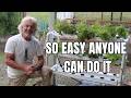 Grow 42 Plants Without Soil - Hydroponic Salad Table for Beginners