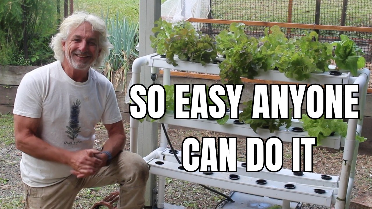 Grow 42 Plants Without Soil - Hydroponic Salad Table for Beginners