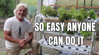 Grow 42 Plants Without Soil - Hydroponic Salad Table for Beginners