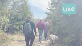 Wyprawy Terapeutyczne Life - Hala Jaworowa